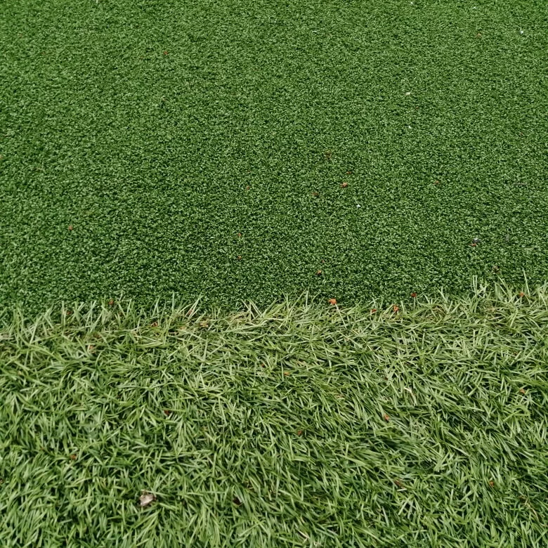 sample of golf type grass